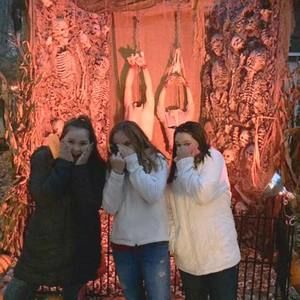 Meet your Posher, Callie